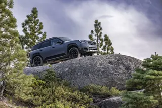 MINI Countryman Untamed
