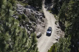 MINI Countryman Untamed