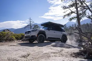 MINI Countryman Untamed
