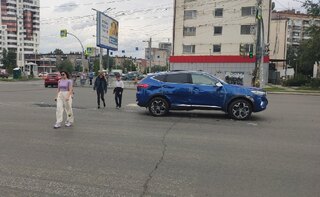 Pilt