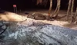 Video ekraanitõmmis