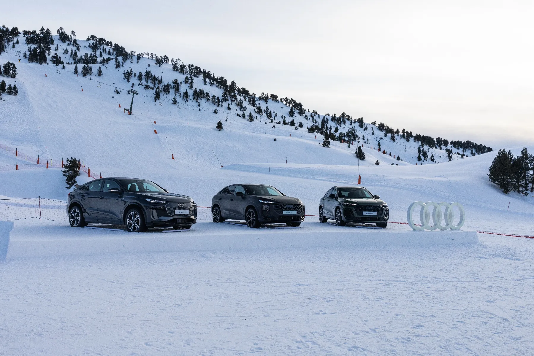Audi driving experience