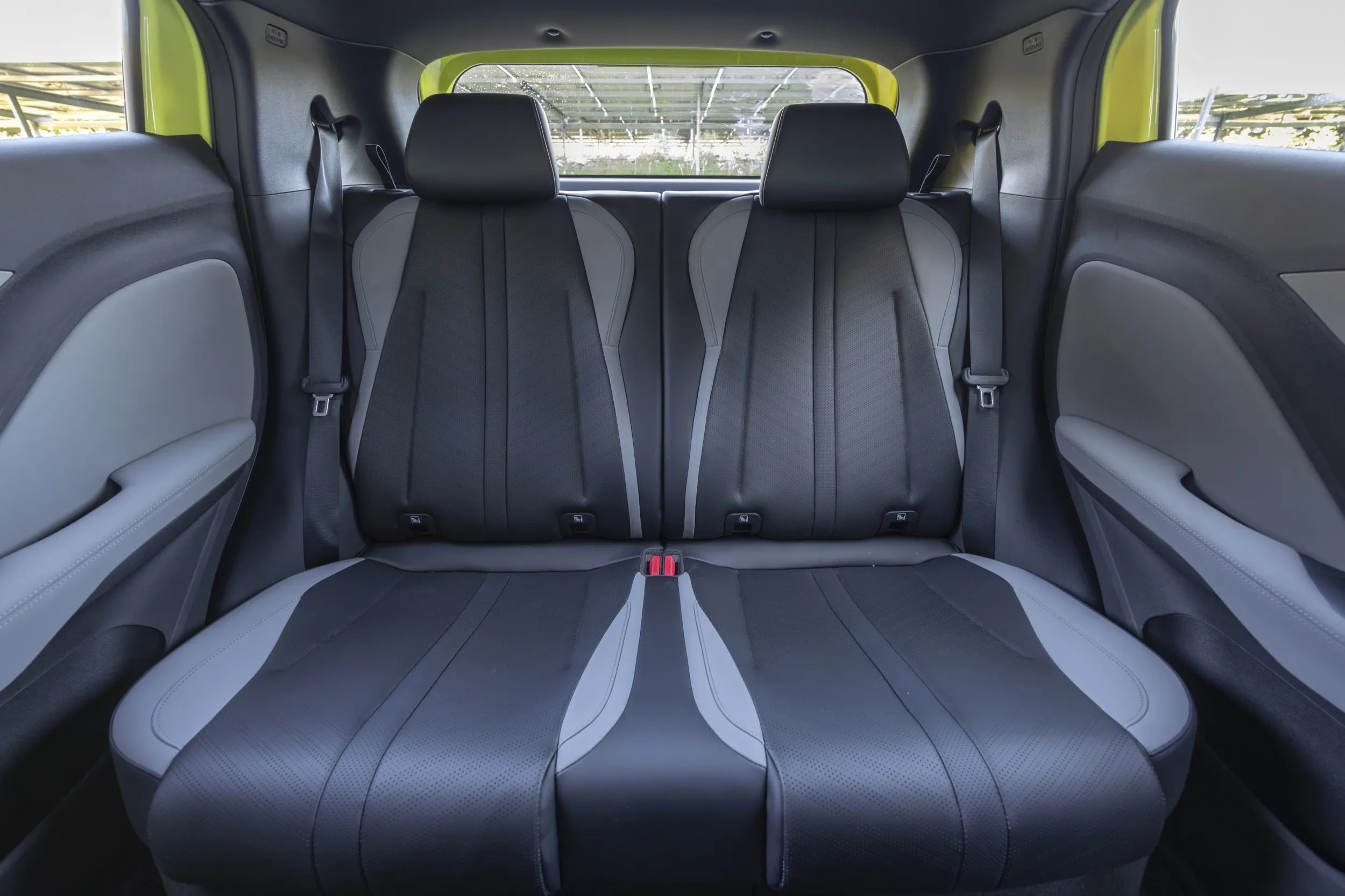 BYD Dolphin Surf