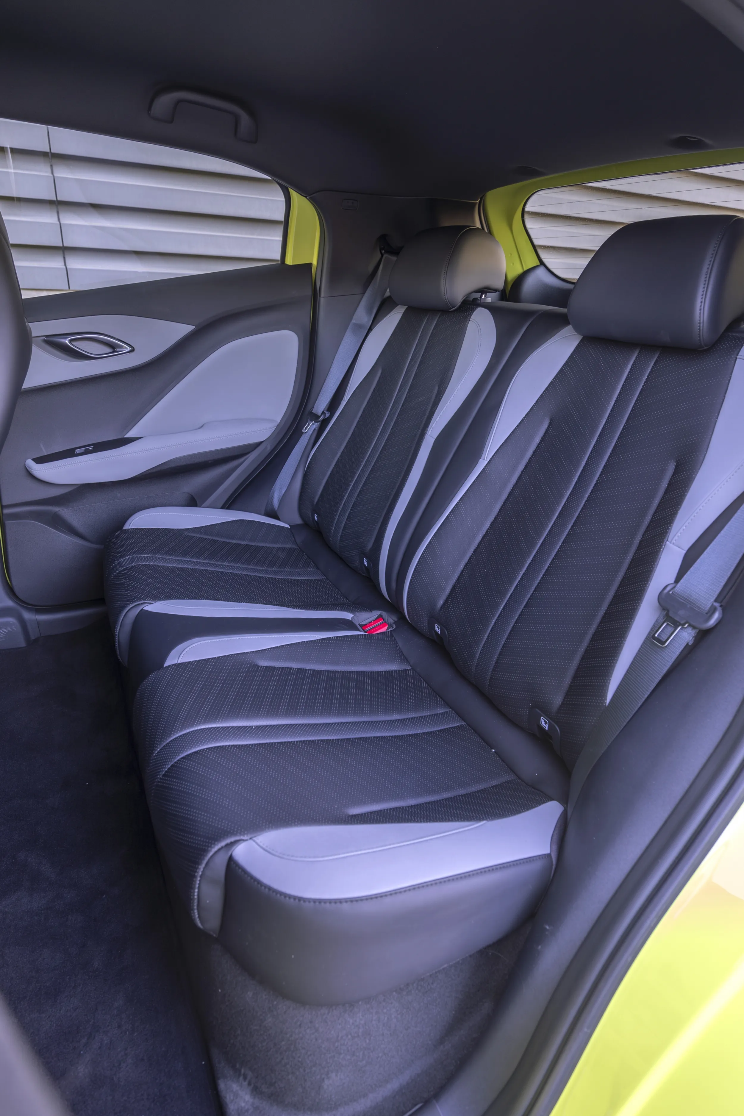 BYD Dolphin Surf