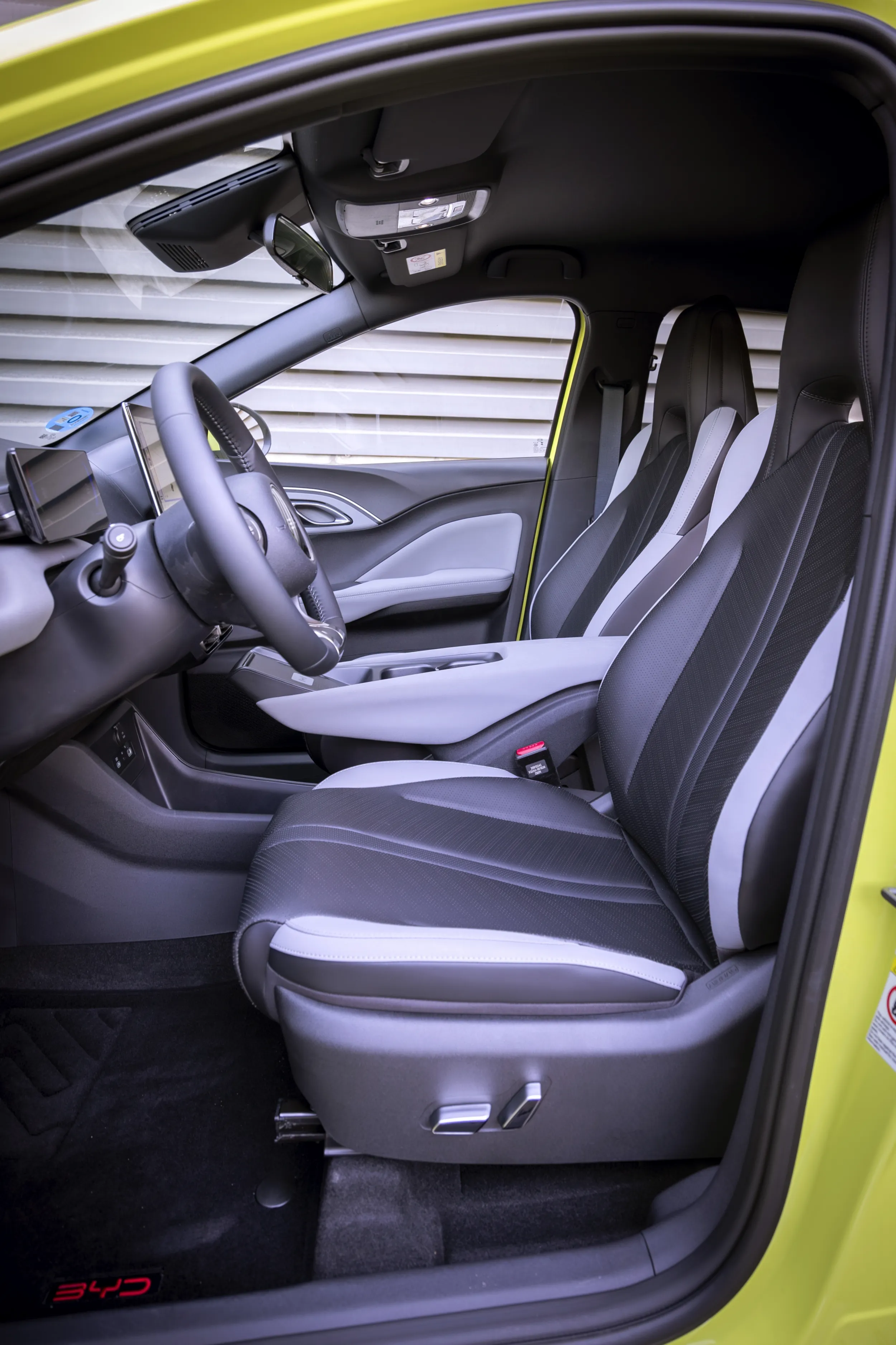 BYD Dolphin Surf