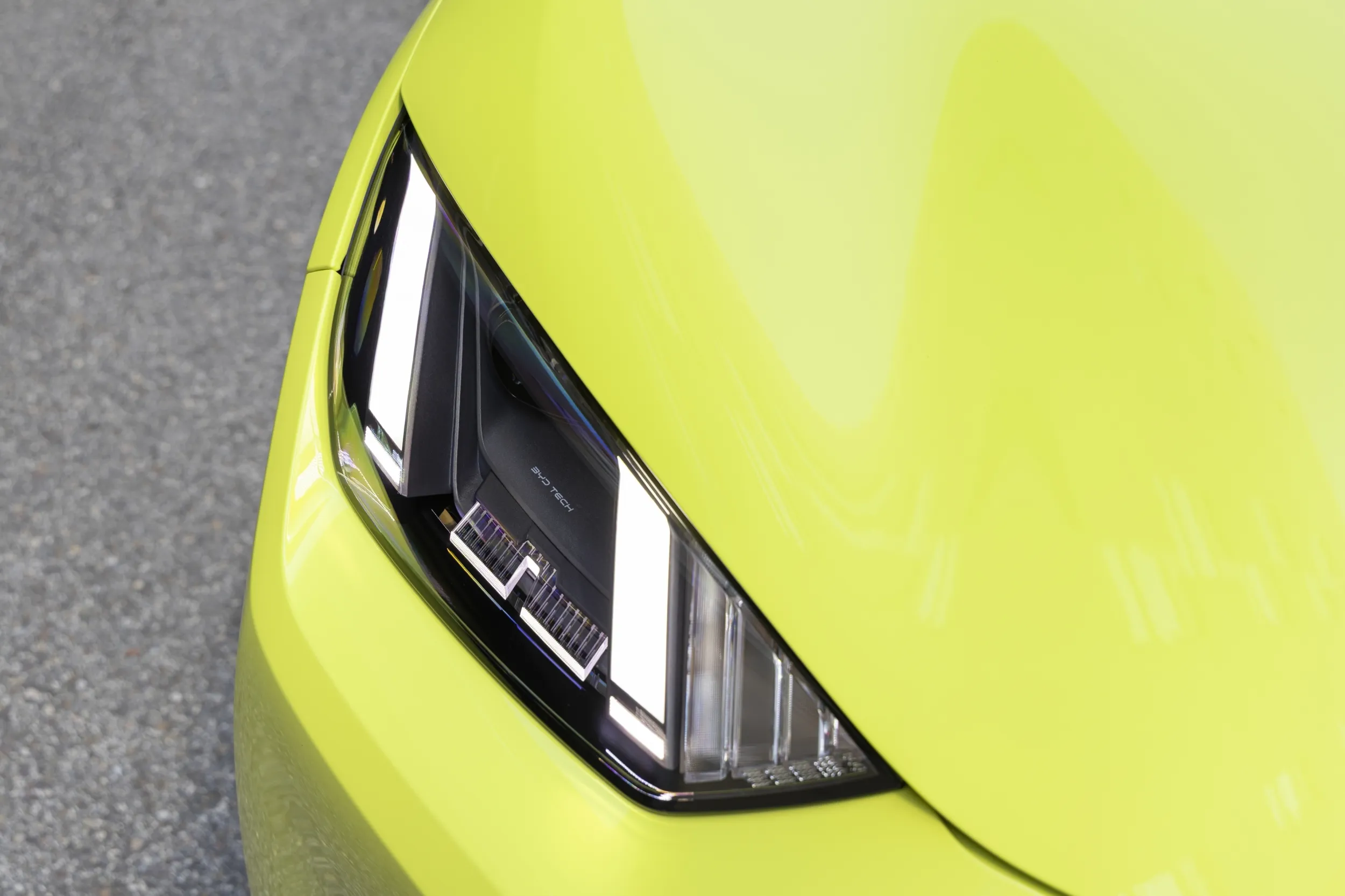 BYD Dolphin Surf
