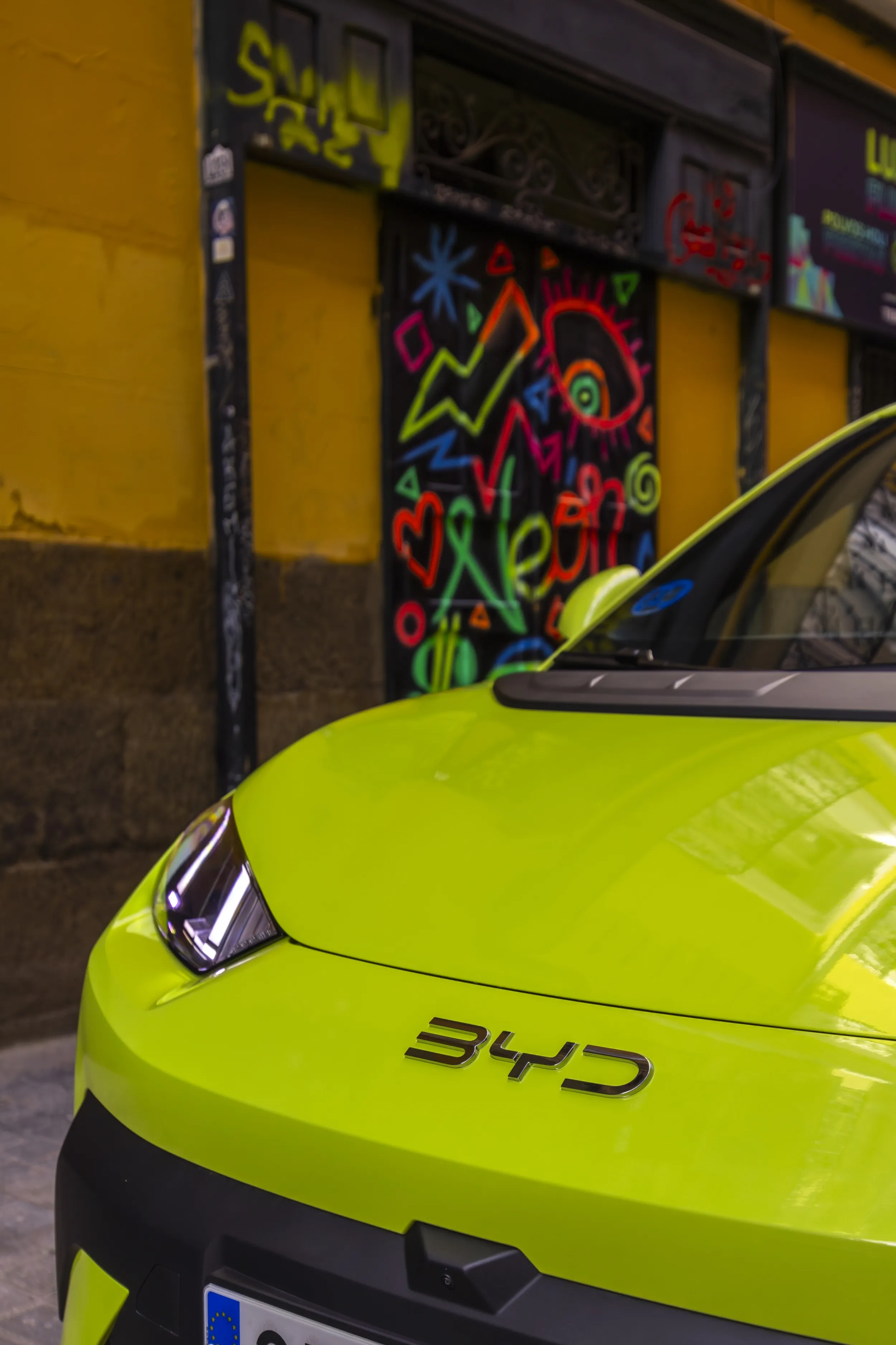BYD Dolphin Surf