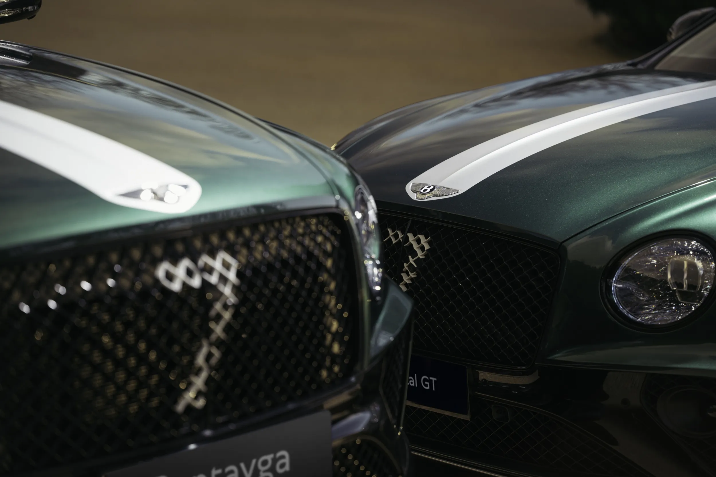 Bentley Apex Edition