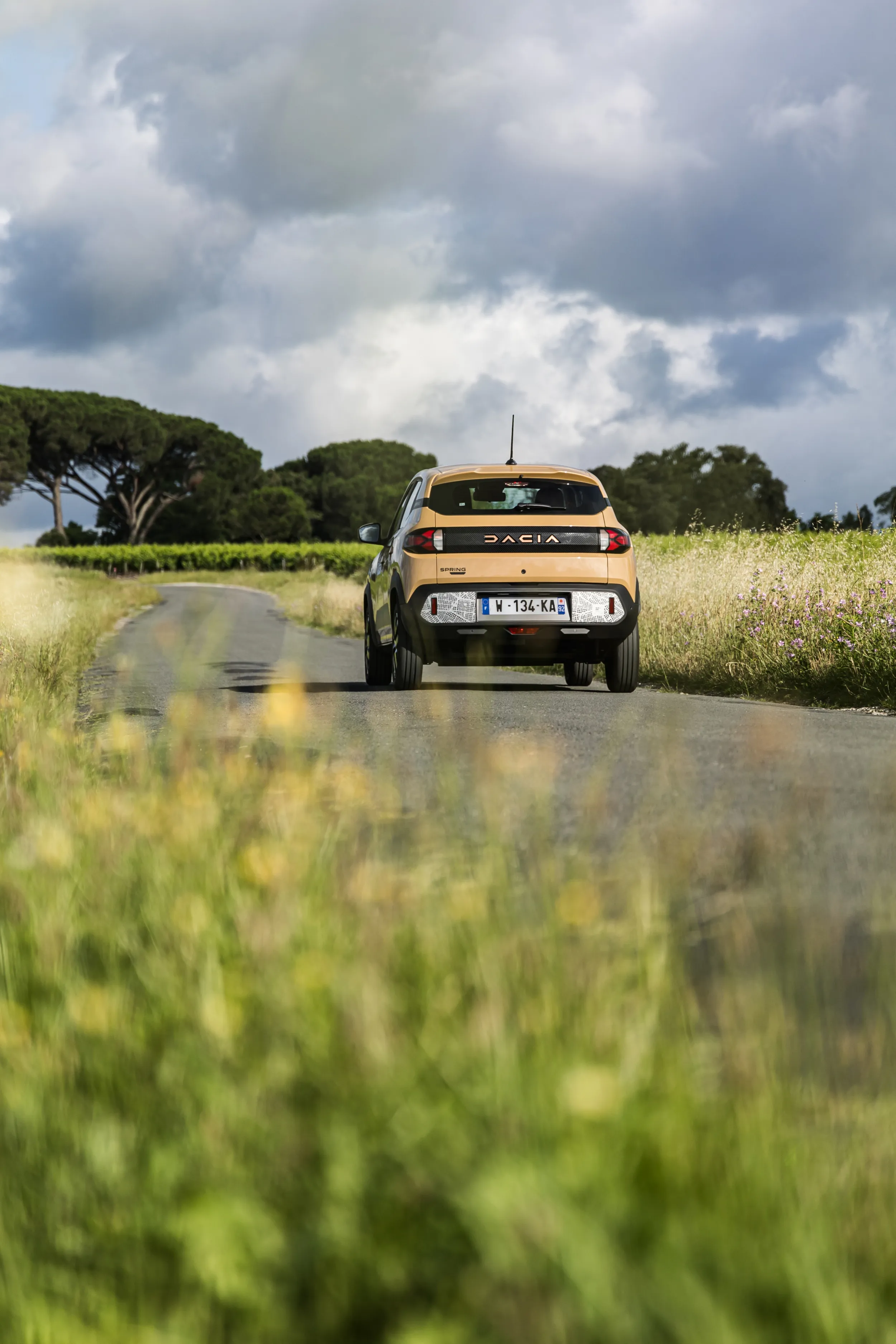 Dacia Spring Extreme