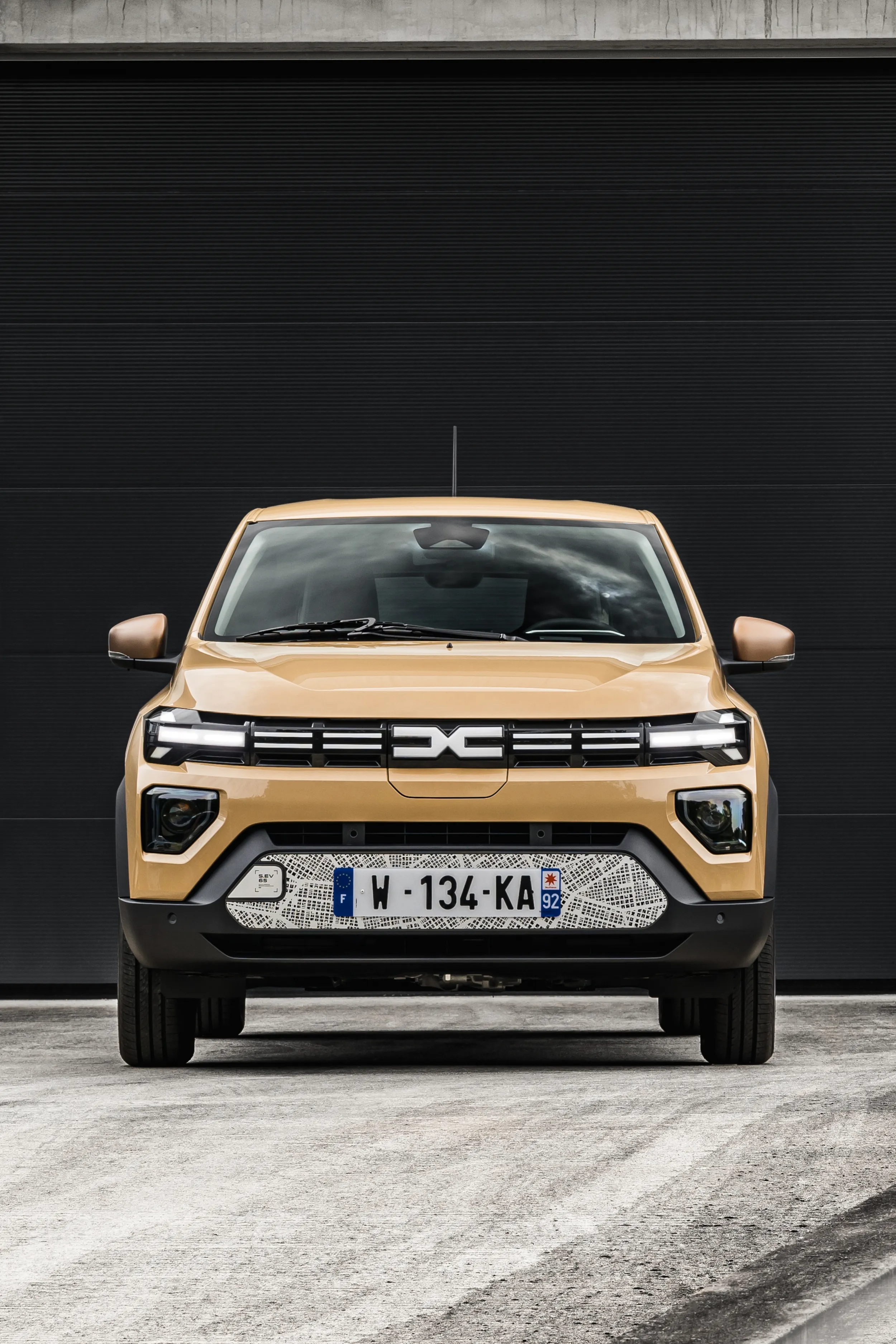 Dacia Spring Extreme