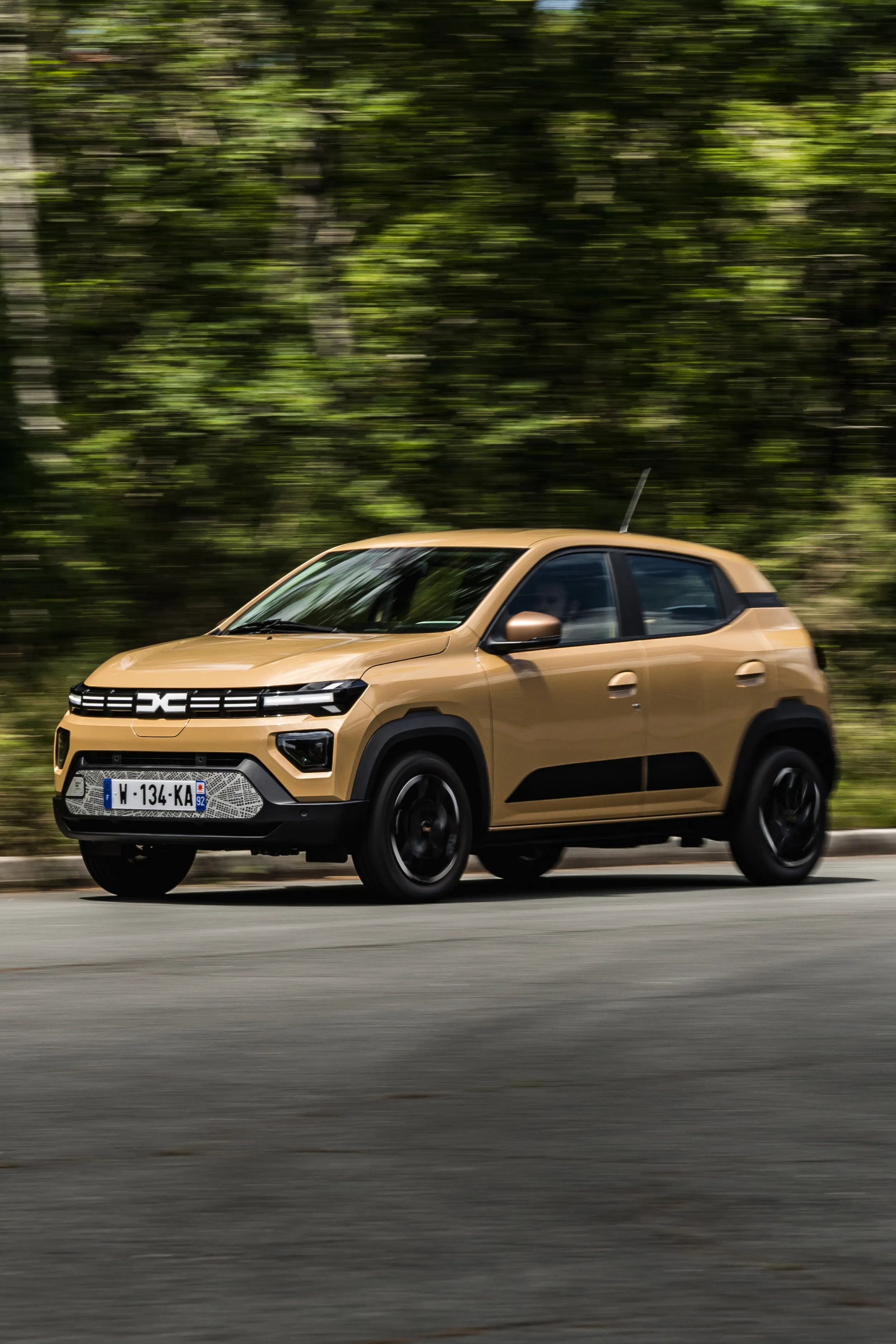 Dacia Spring Extreme
