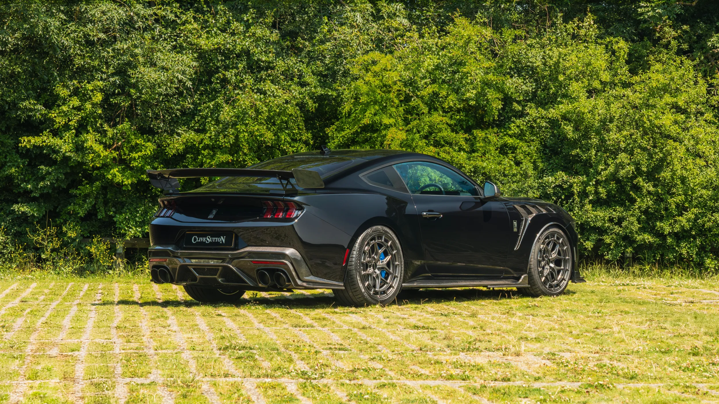 Ford Mustang Dark Horse