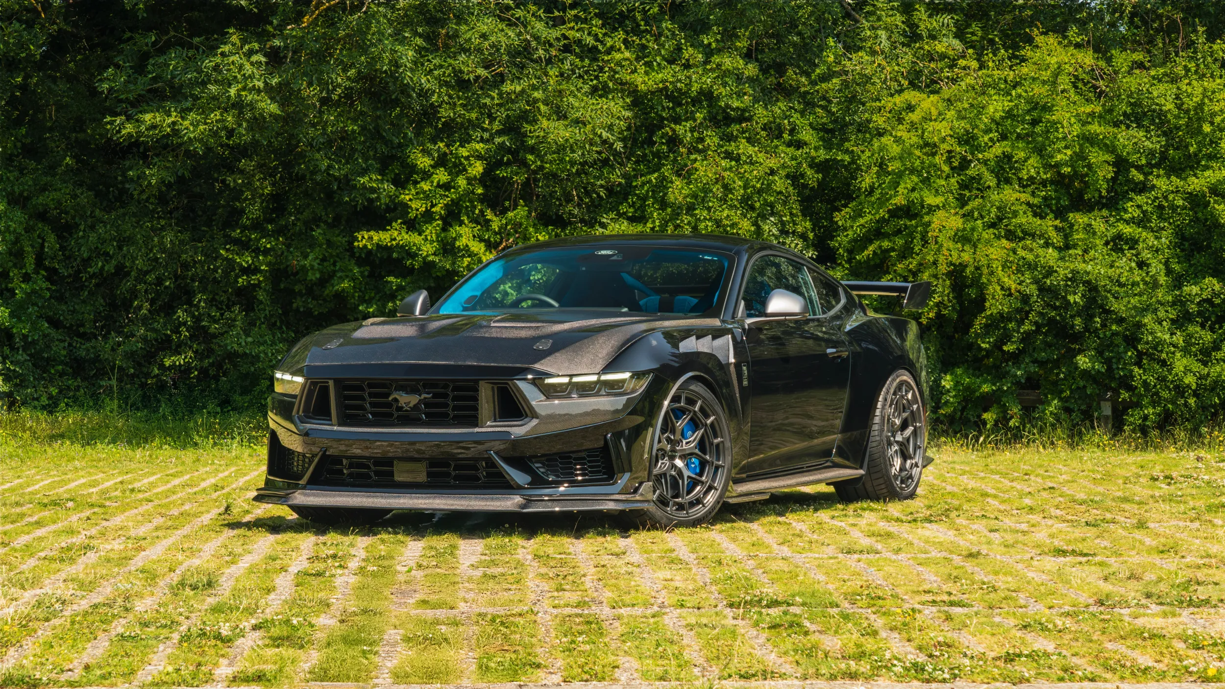 Ford Mustang Dark Horse