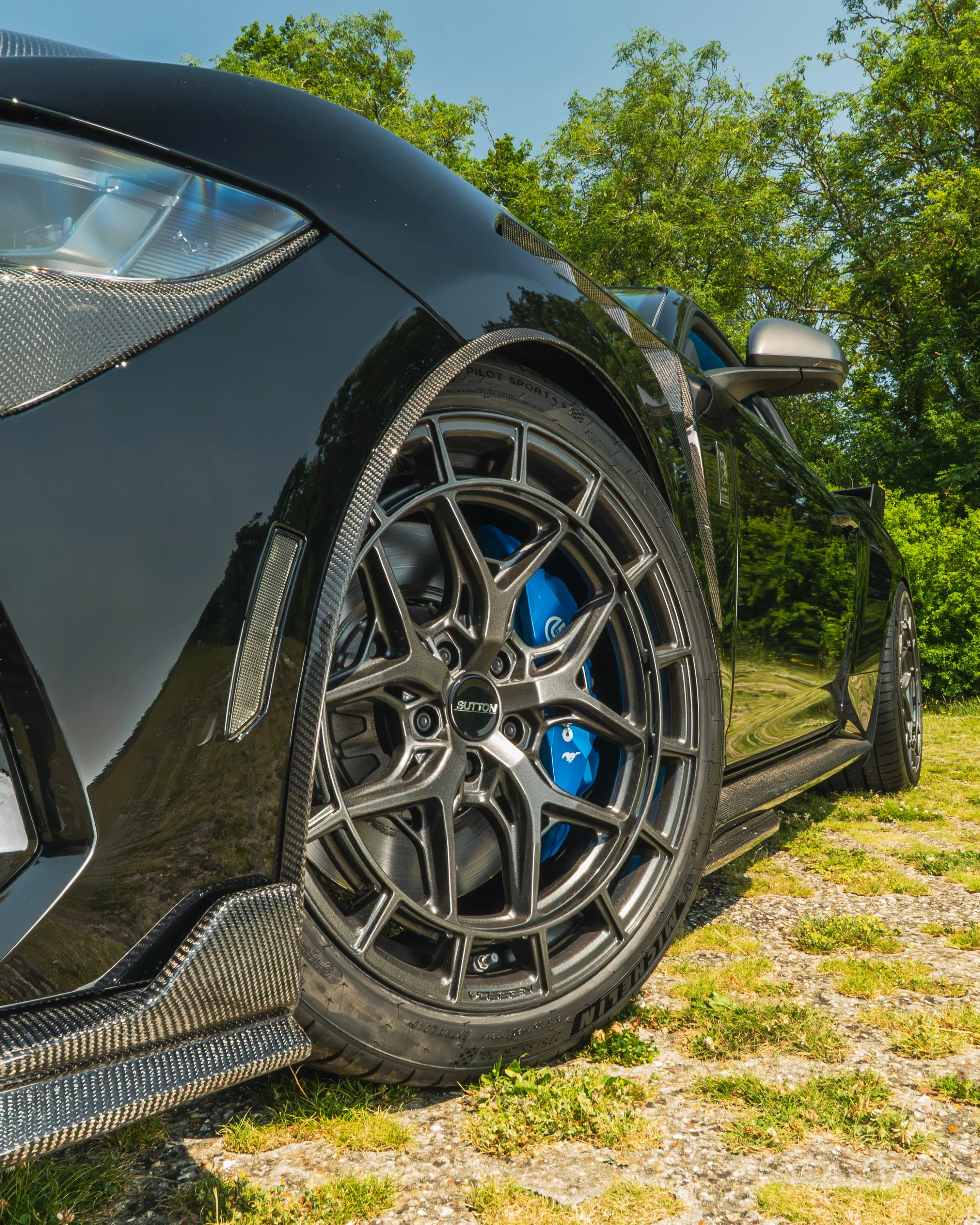 Ford Mustang Dark Horse