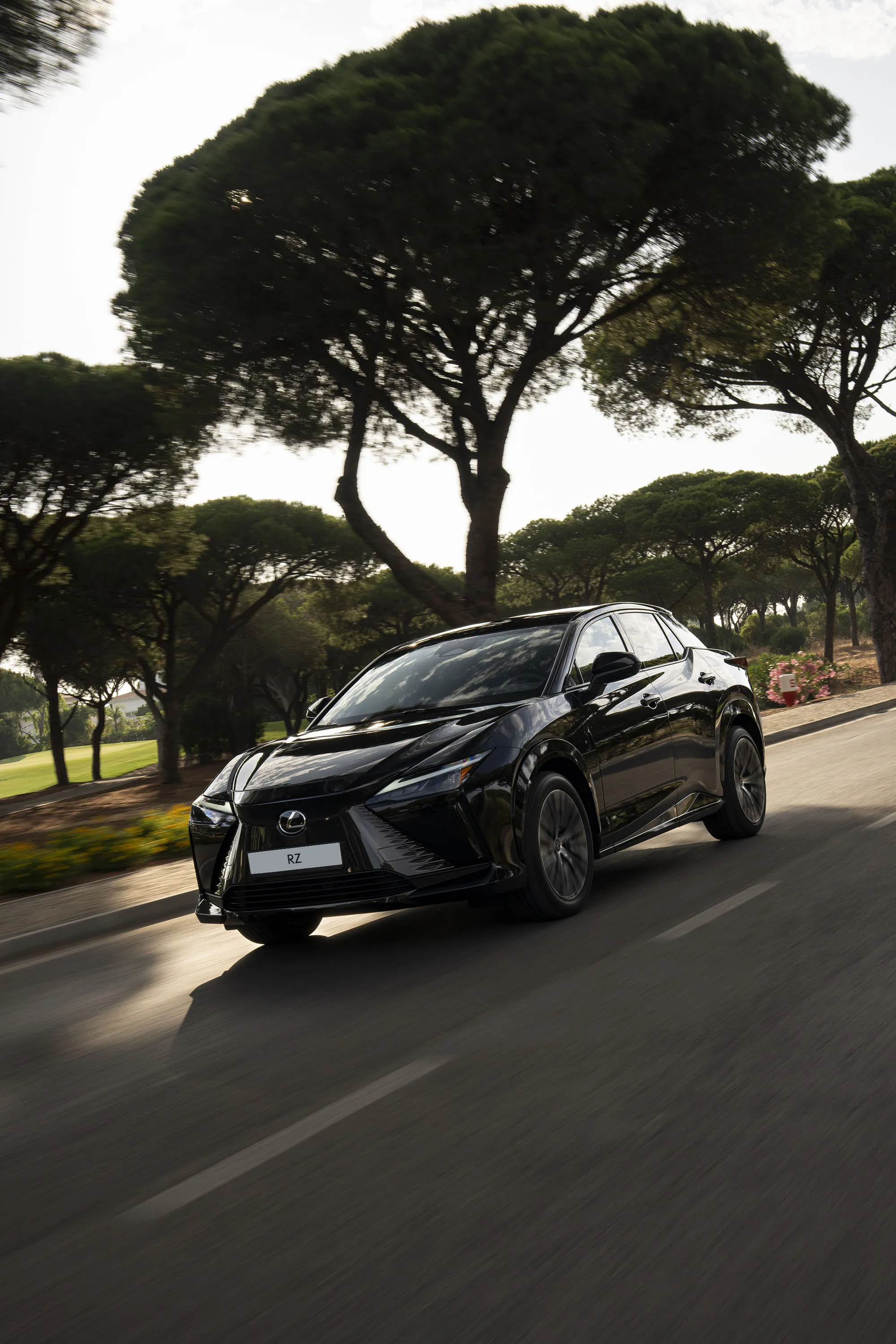 Lexus RZ 550e F Sport