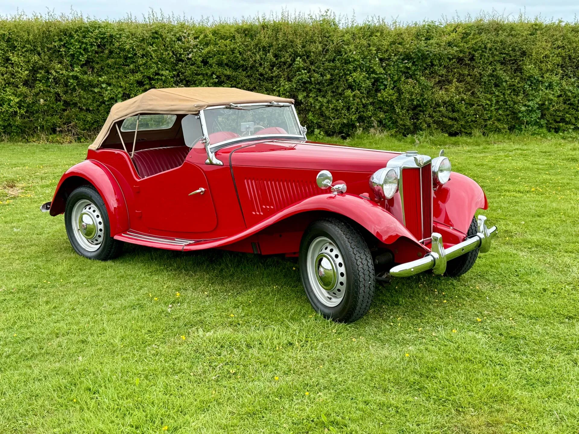 MG @ 100
