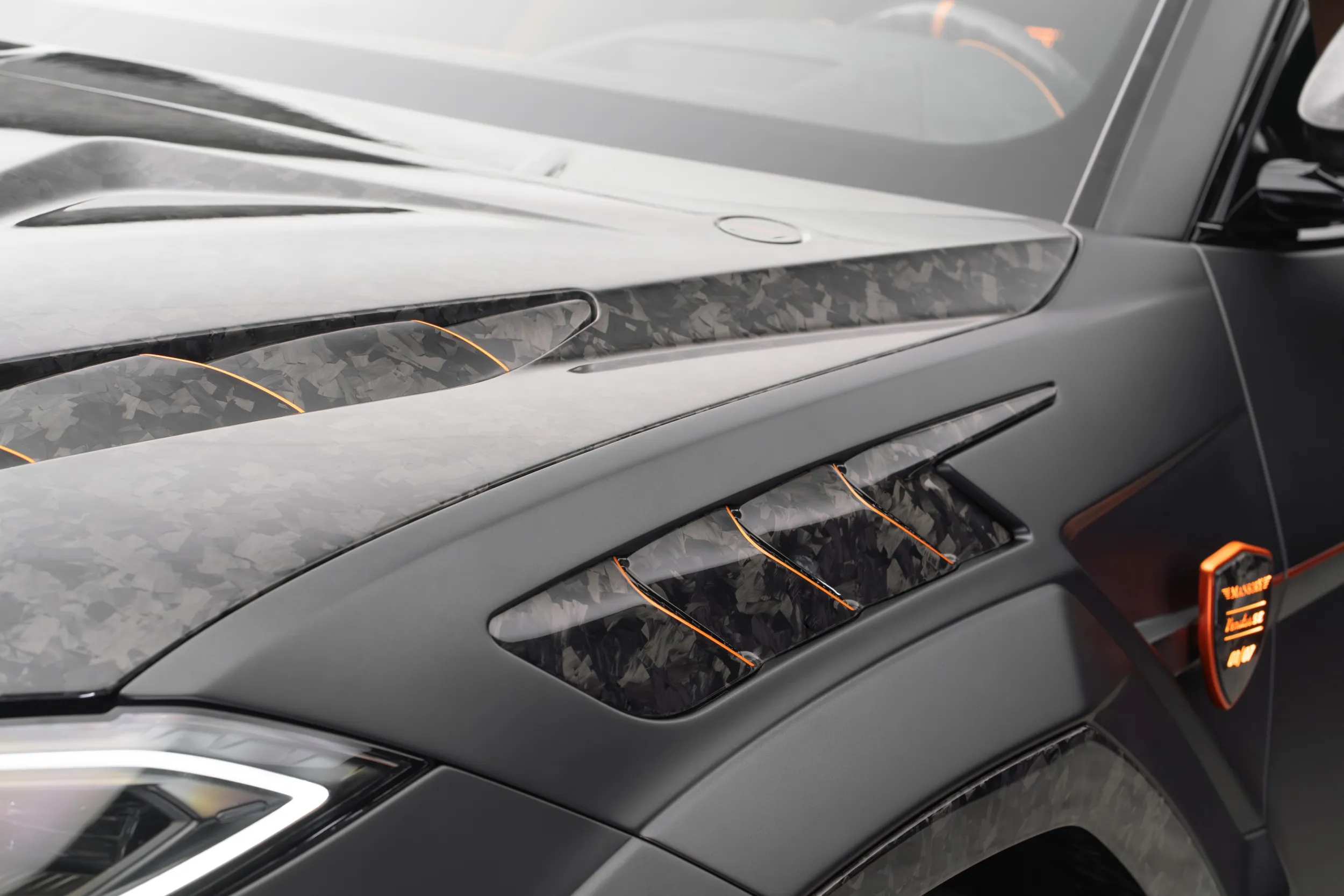 Mansory Venatus SE