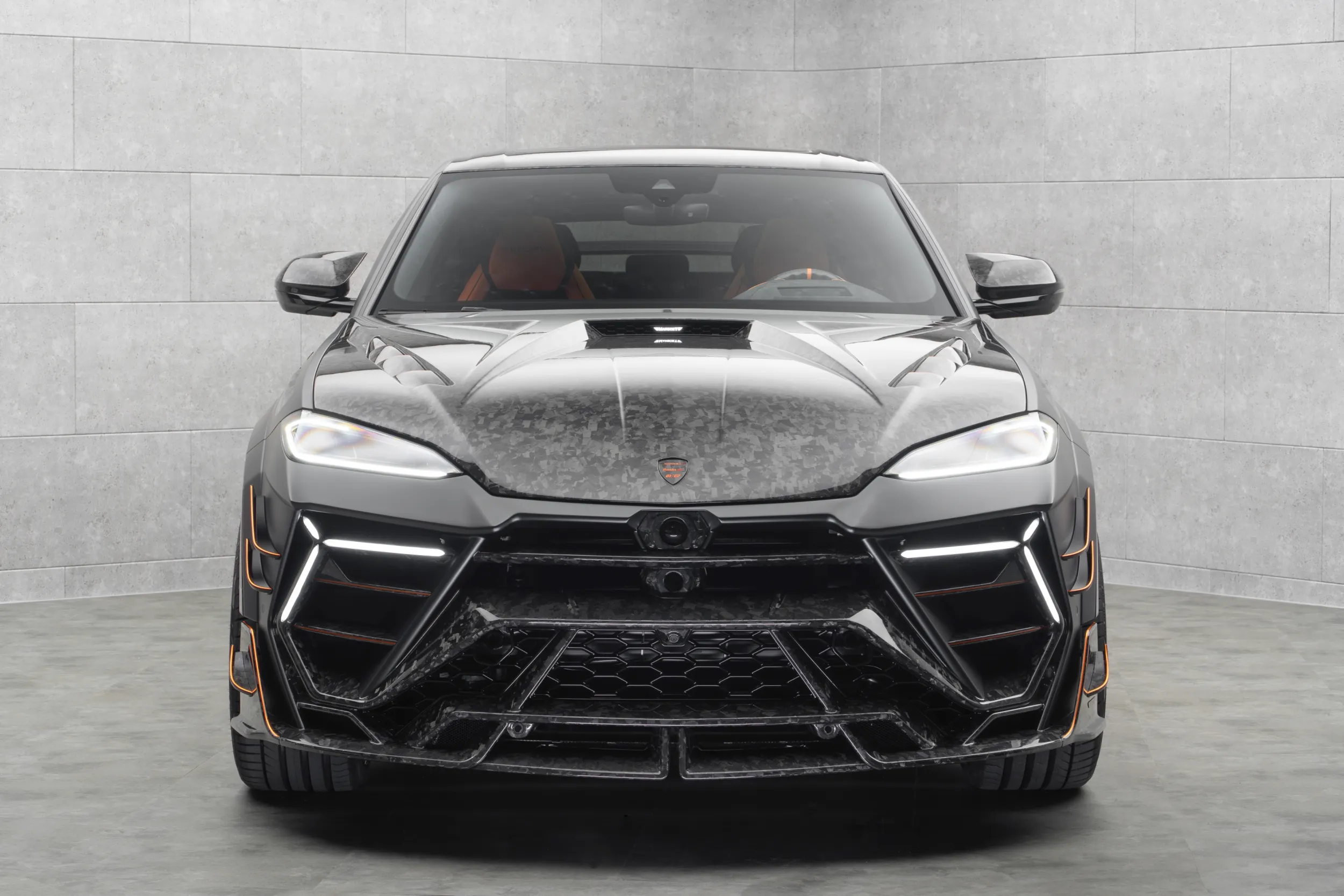 Mansory Venatus SE