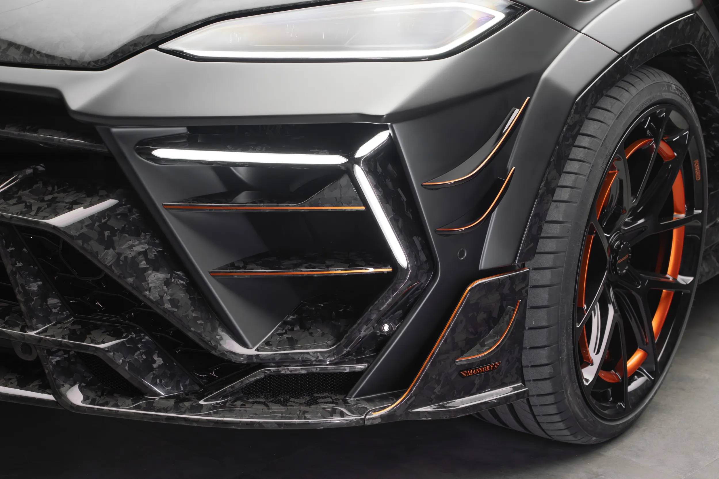 Mansory Venatus SE