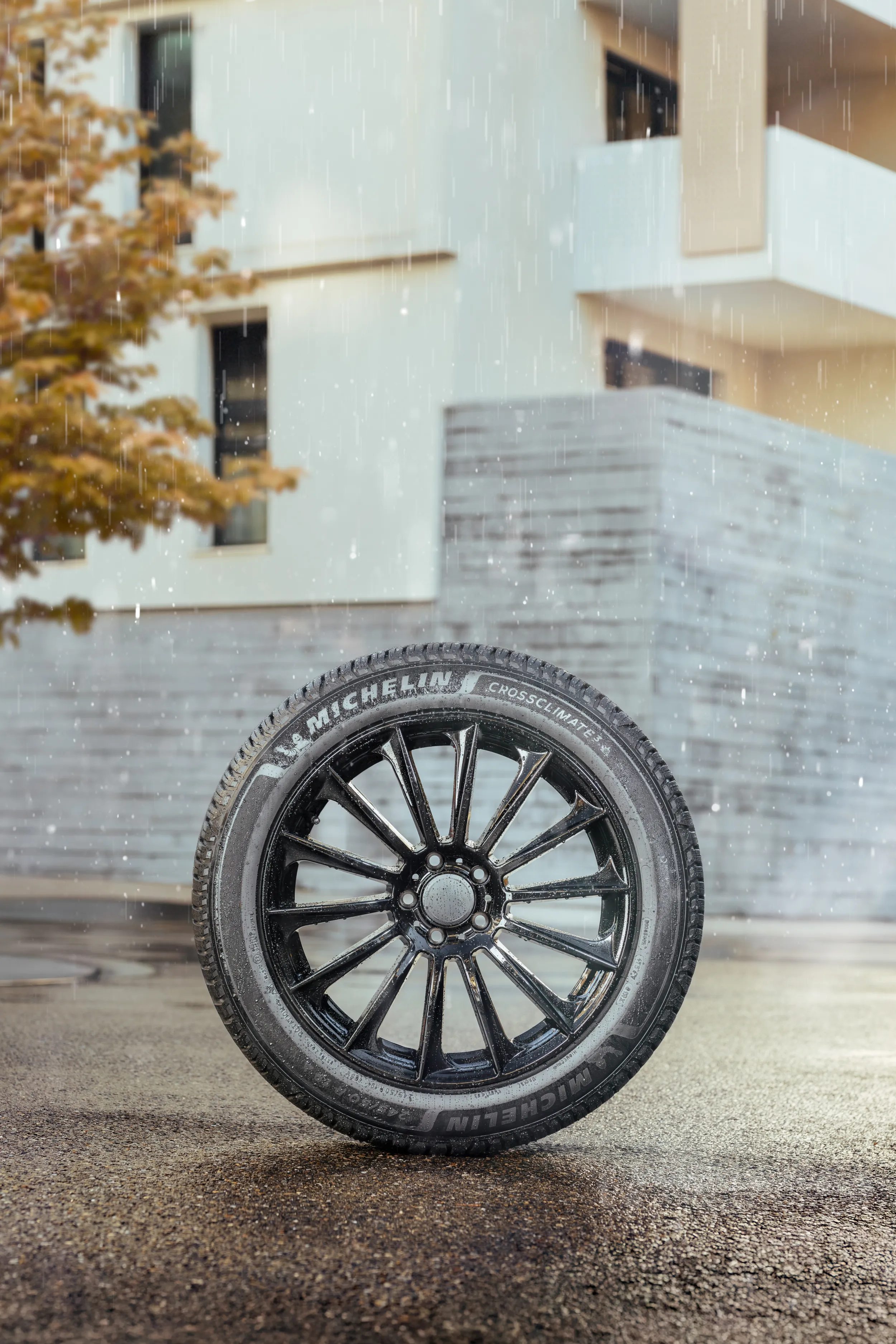 Michelin CrossClimate 3