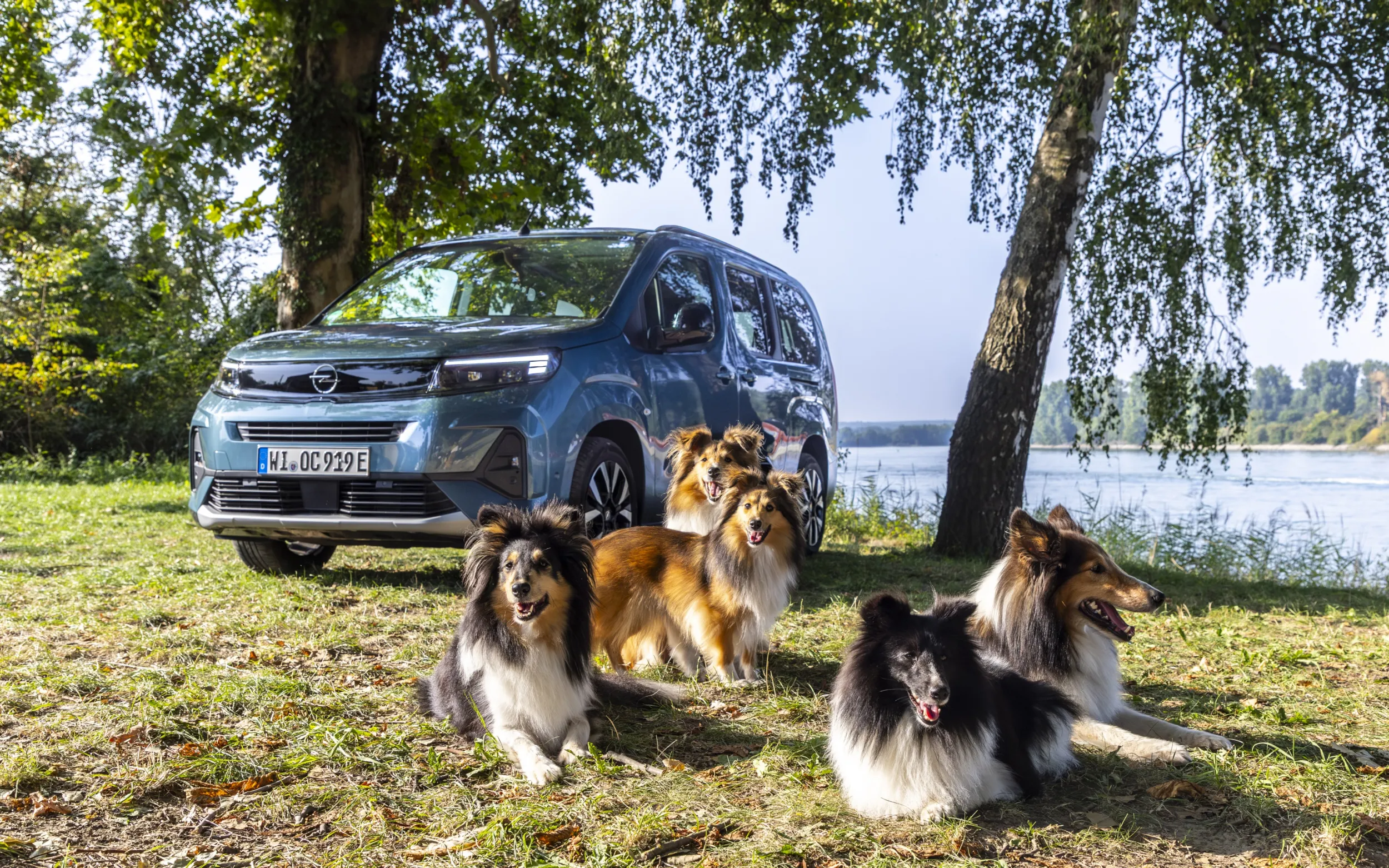 Opel Combo Electric