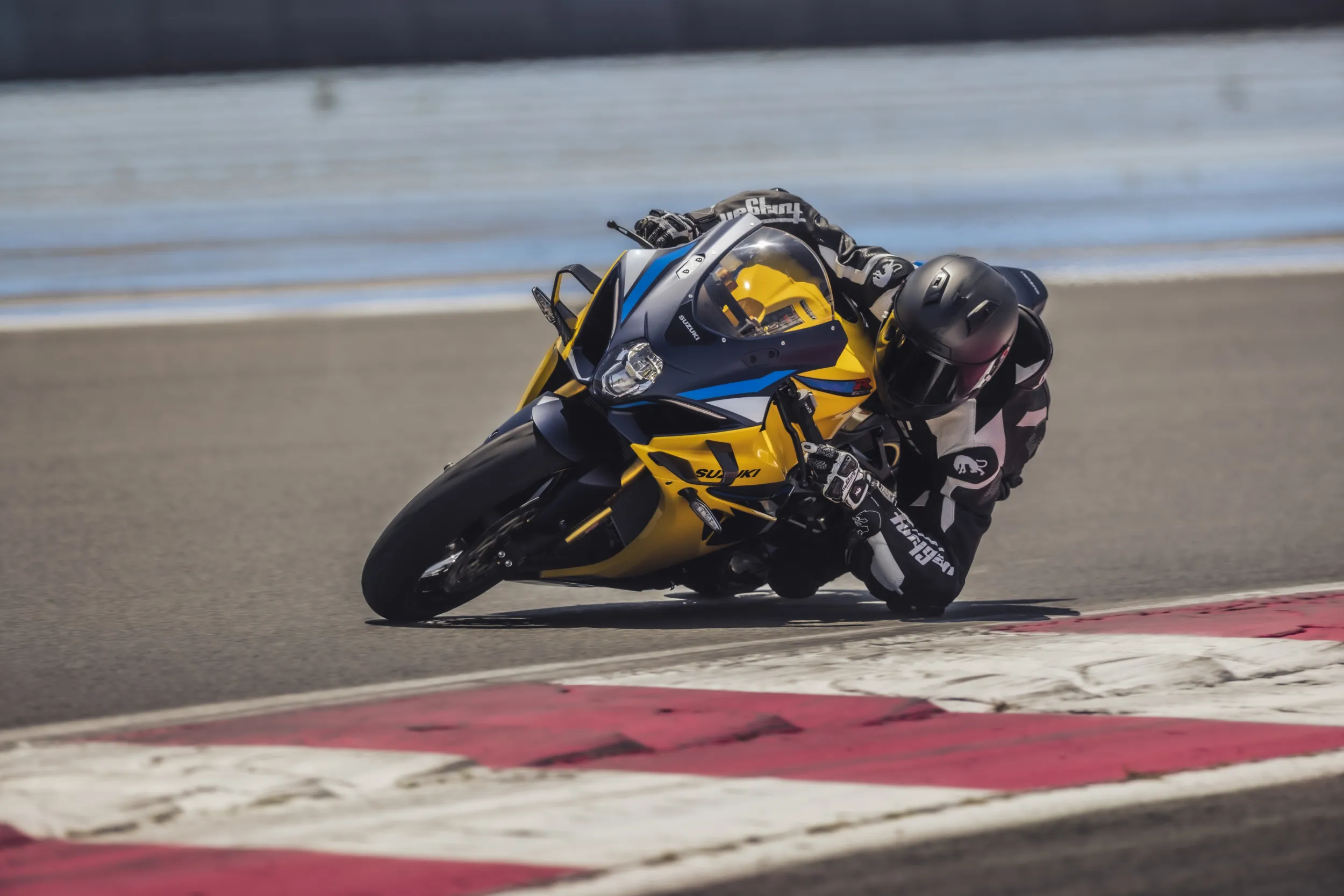 Suzuki GSX-R1000R