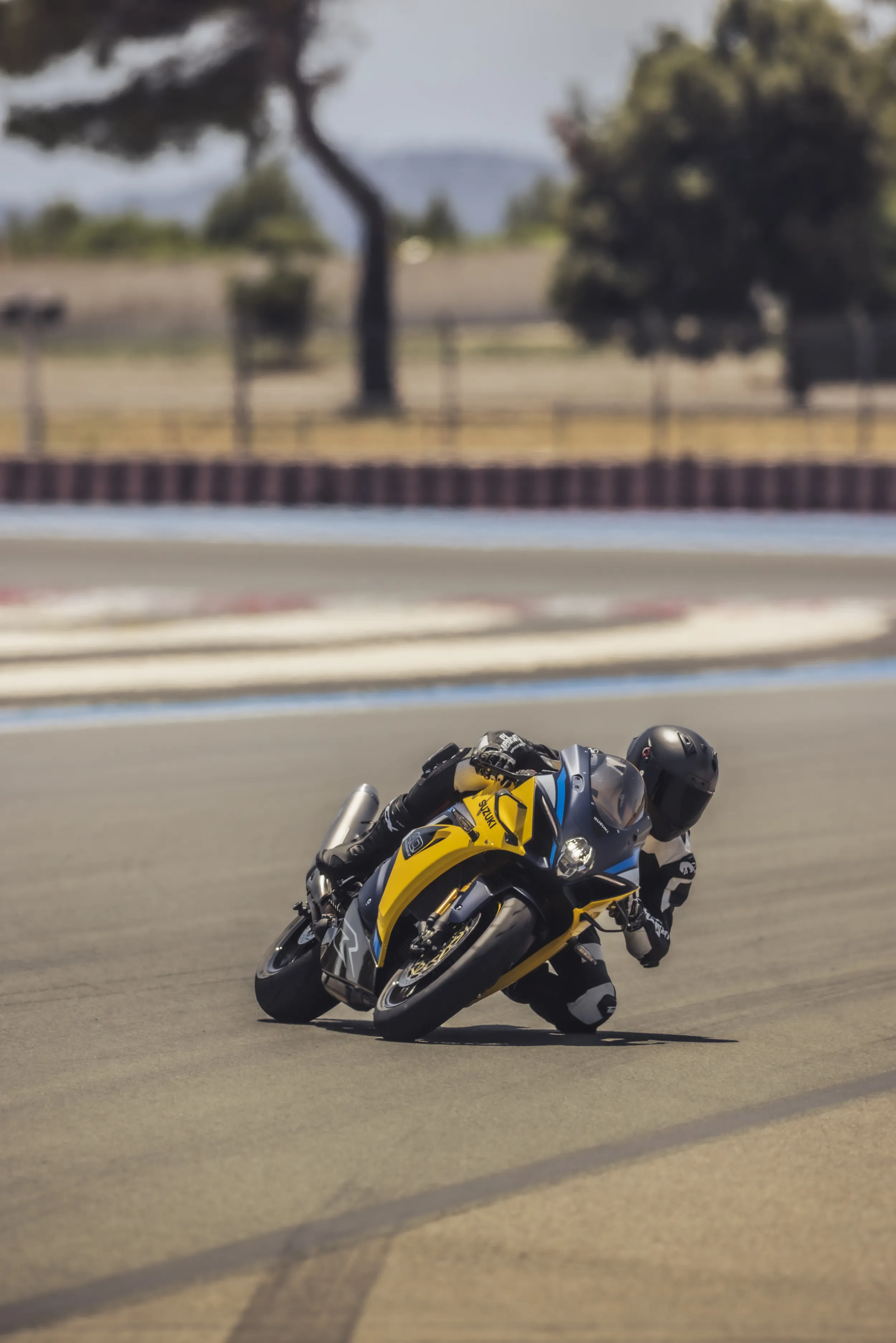 Suzuki GSX-R1000R