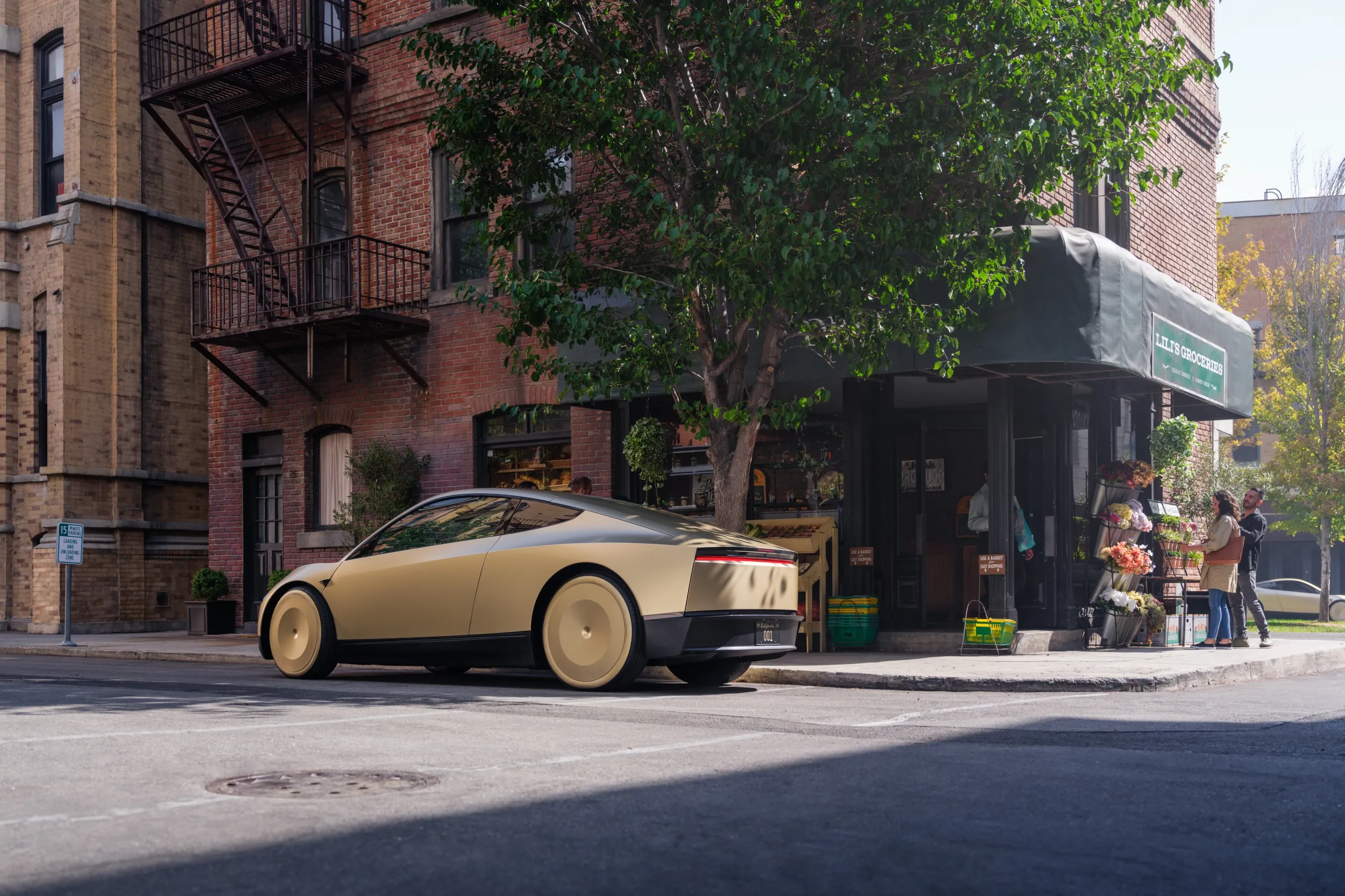 Tesla Robotaxi
