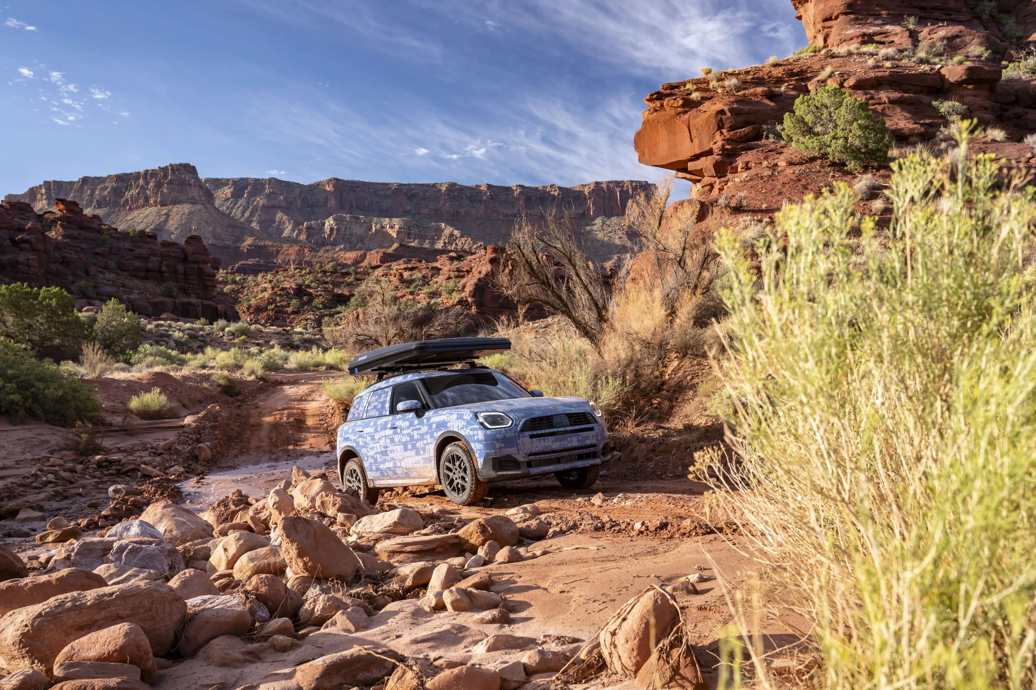 MINI Countryman Edition
