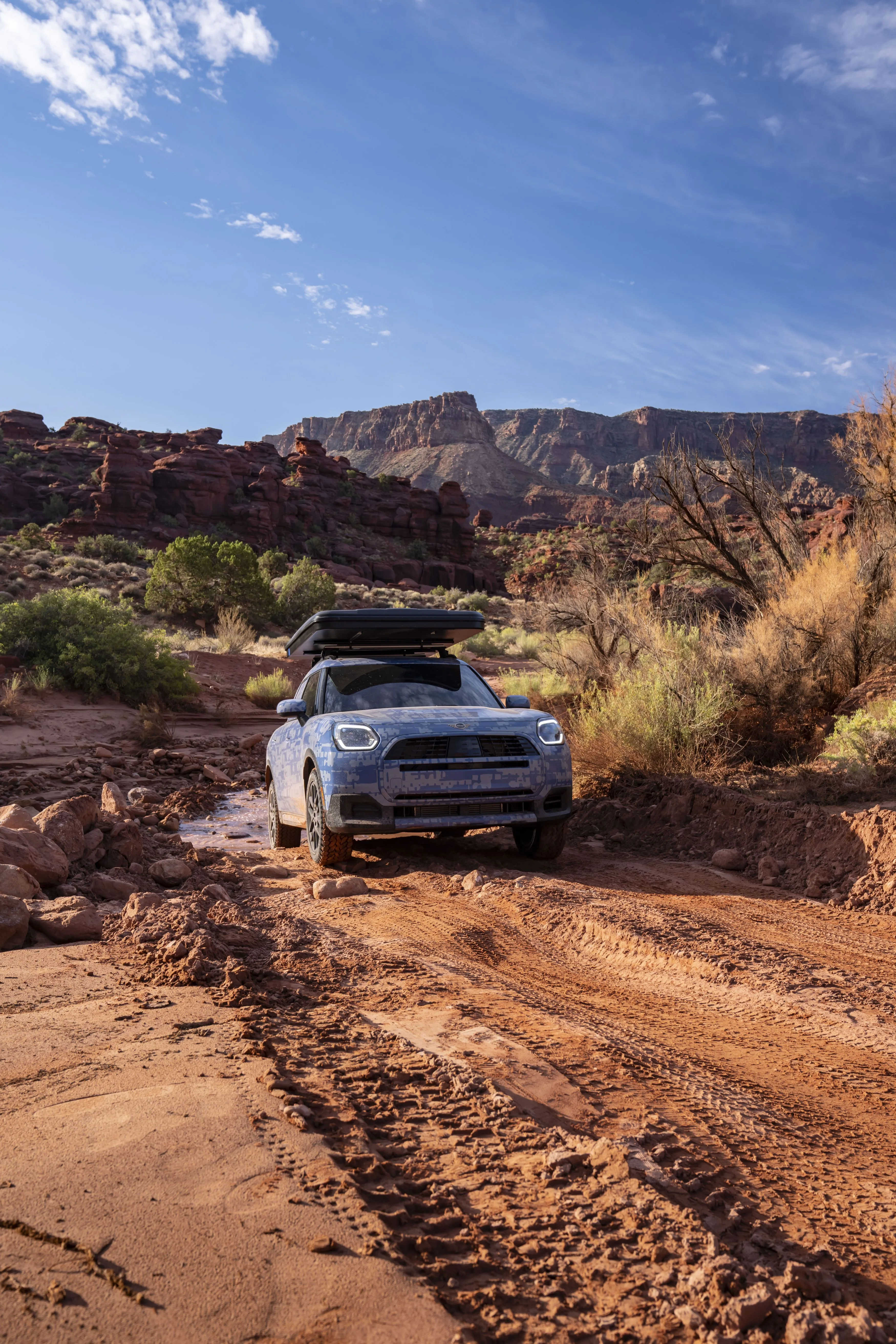MINI Countryman Edition