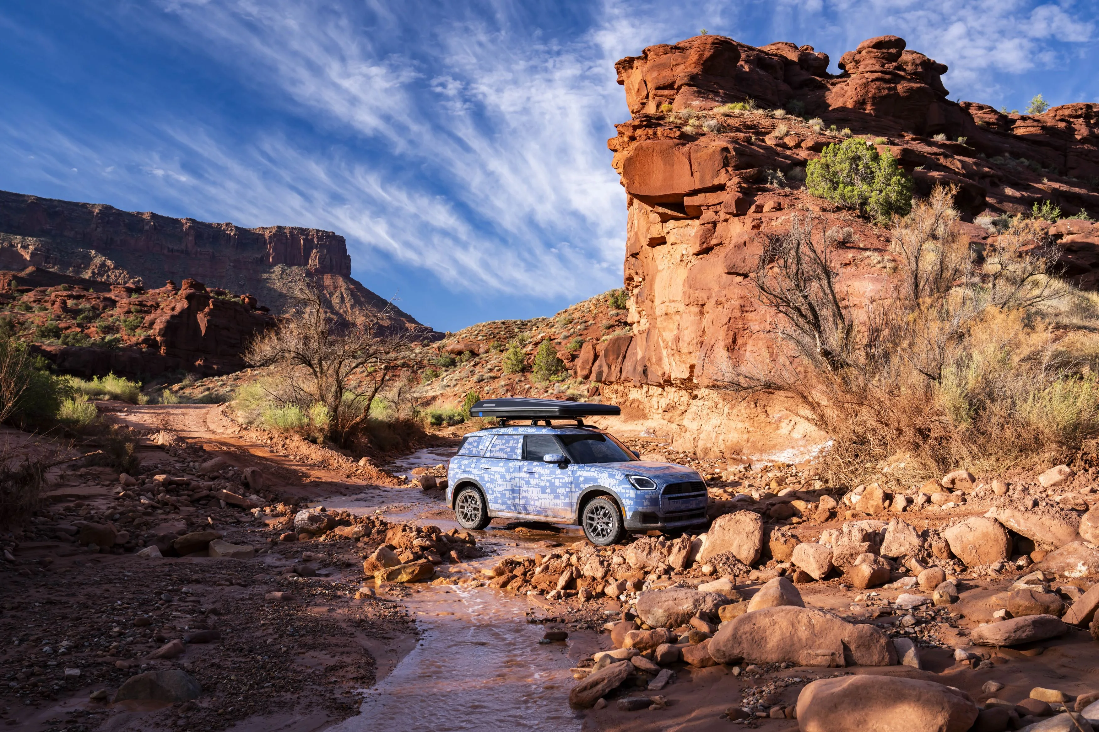 MINI Countryman Edition