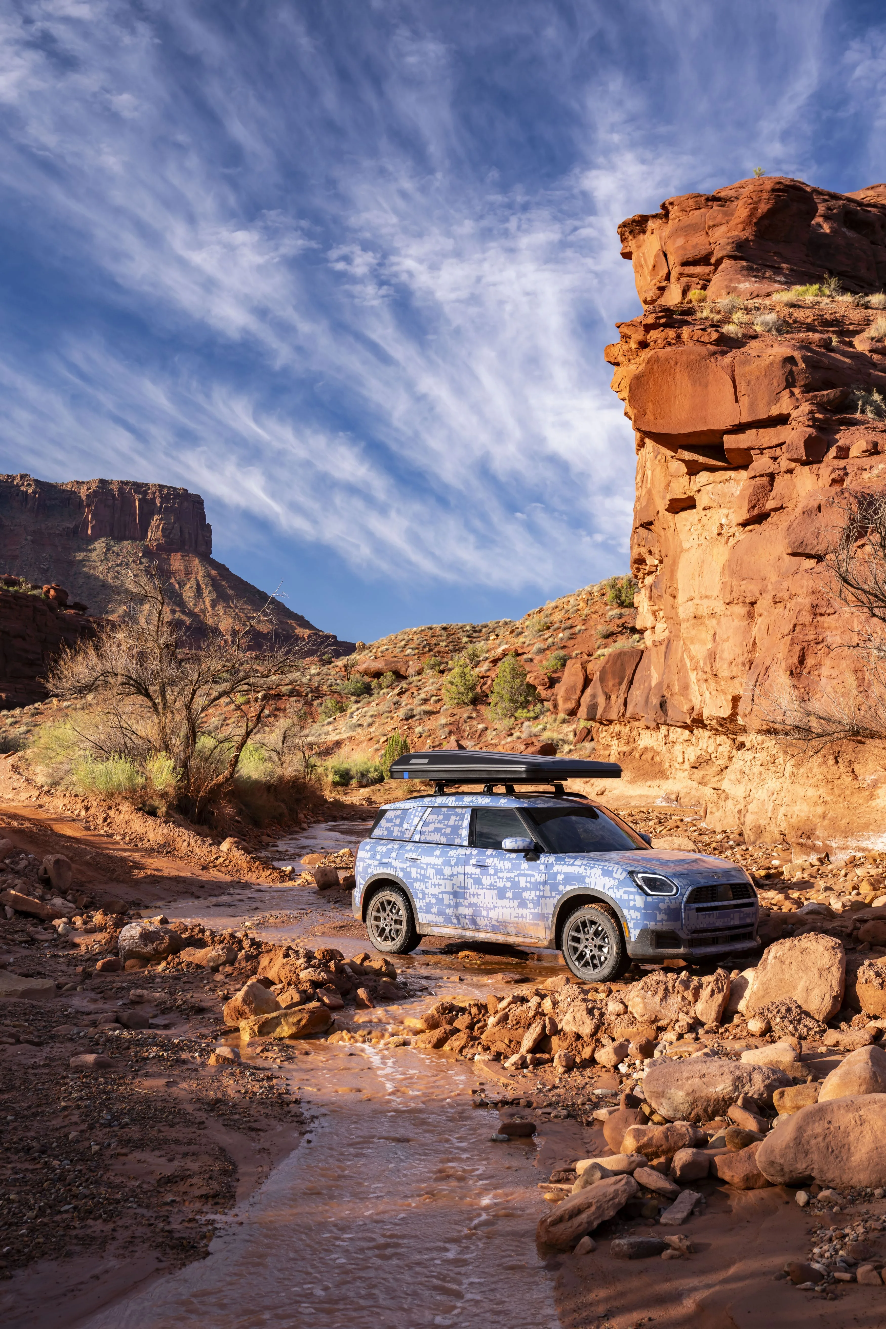 MINI Countryman Edition