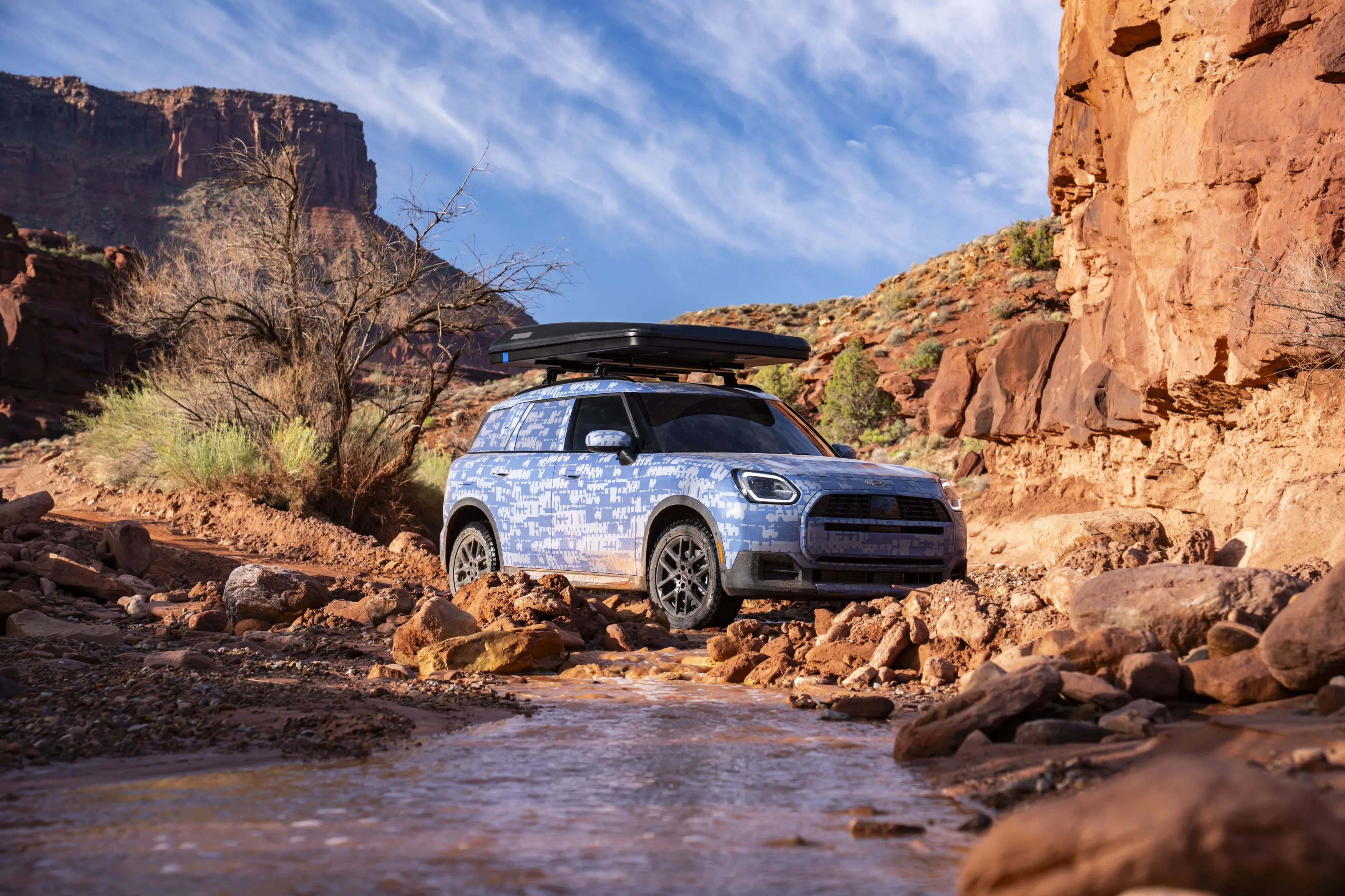 MINI Countryman Edition