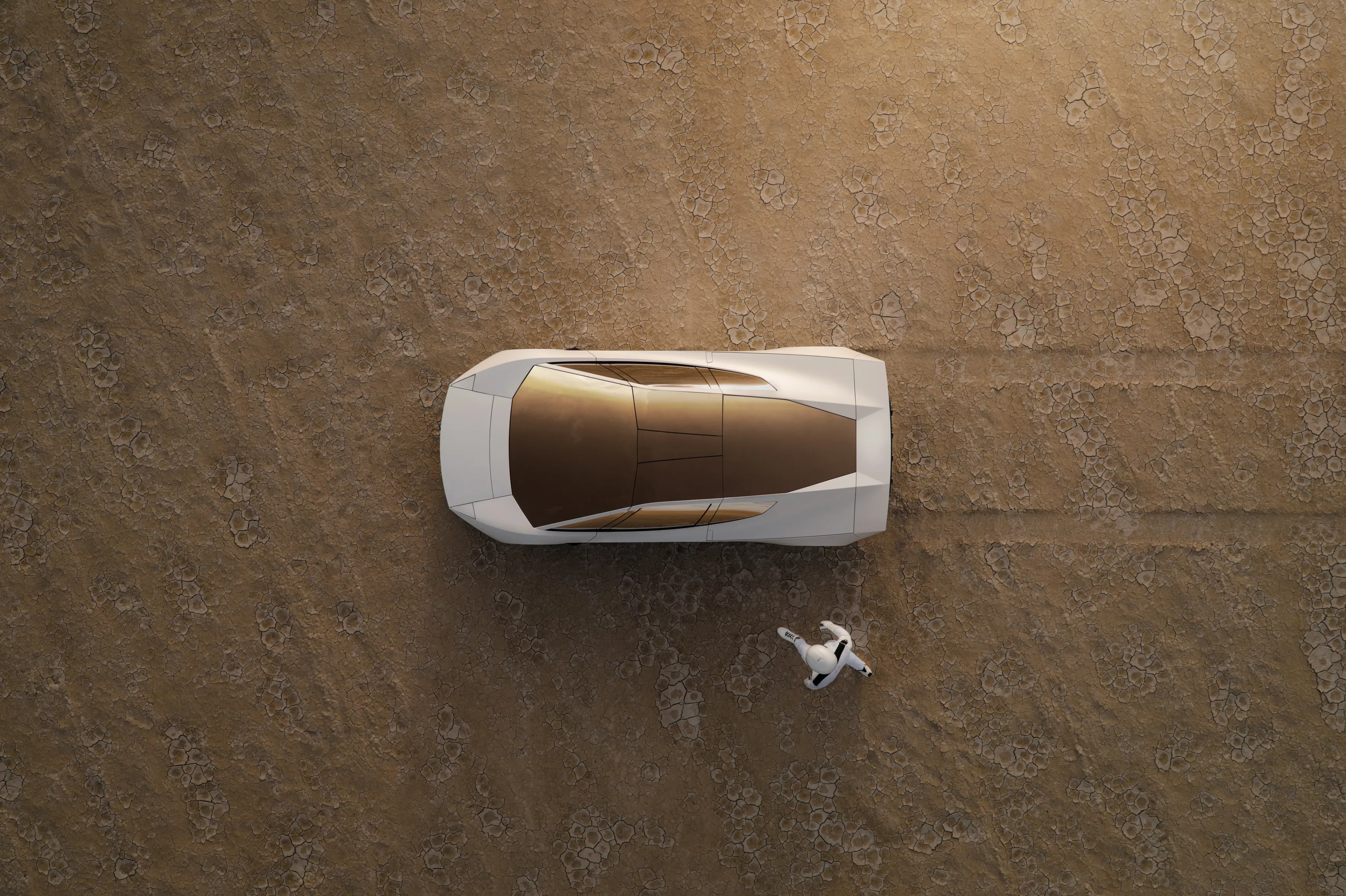 Tesla Roadster