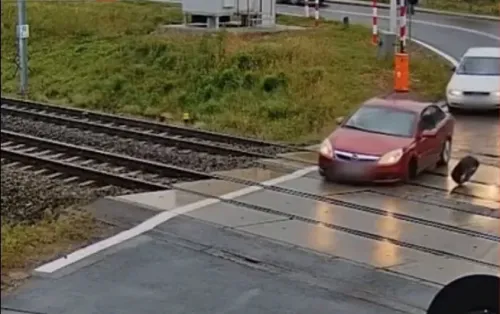 auto.pub Screenshot from the video 29.10.25